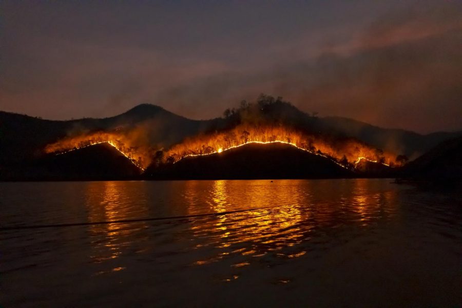 The photo shows a wildfire aggressively spreading through a forest near a lake.