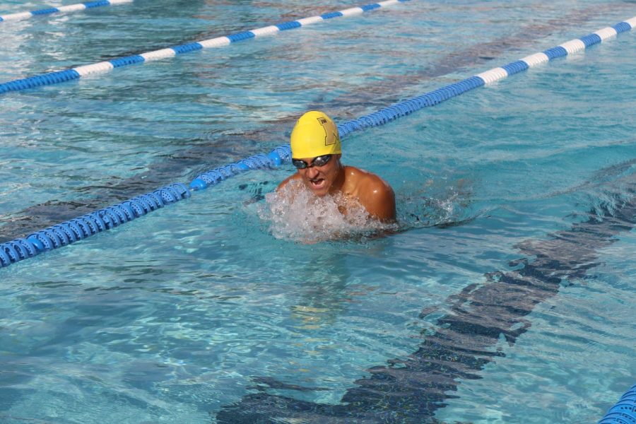 Swimming+for+success
