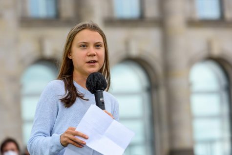 Greta Thunberg’s arrest in Germany