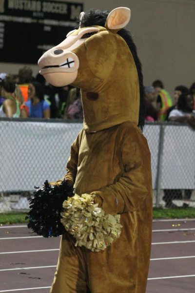On August 19, 2023, the Mascot makes it’s grand appearance at the pre-season football game against Steinbrenner. 