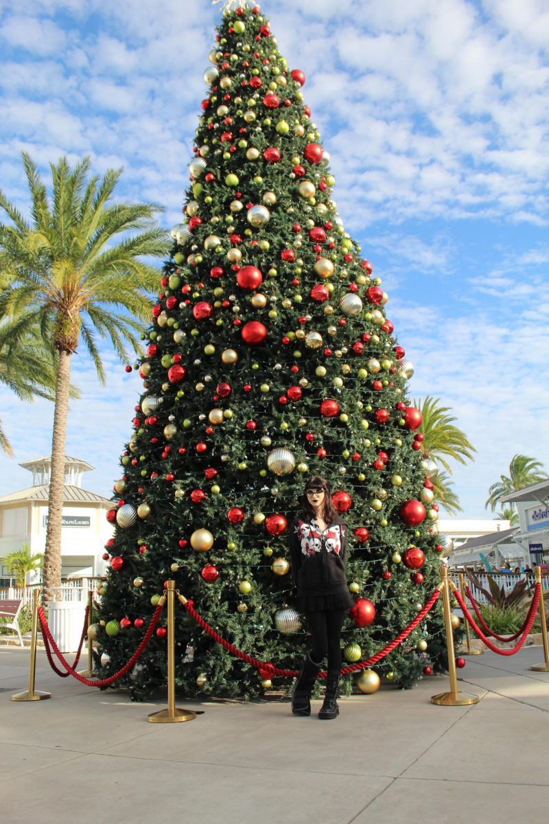 Adriana Young (26) stands in front of the Tampa Premium Outlet Christmas tree while hanging out with friends after the school day. I had fun this time hanging out and taking pictures. I plan on coming back to the mall over break to go see Santa with my friends and shop around some more, Young said. 